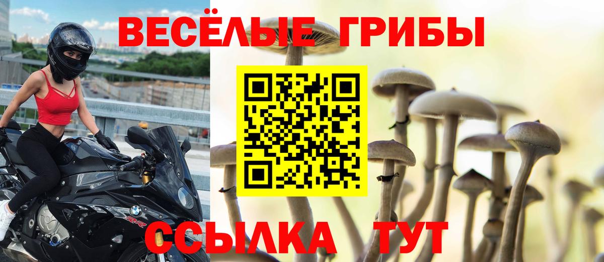 Галлюциногенные грибы Cubensis  Вход с VPN  Минусинск 