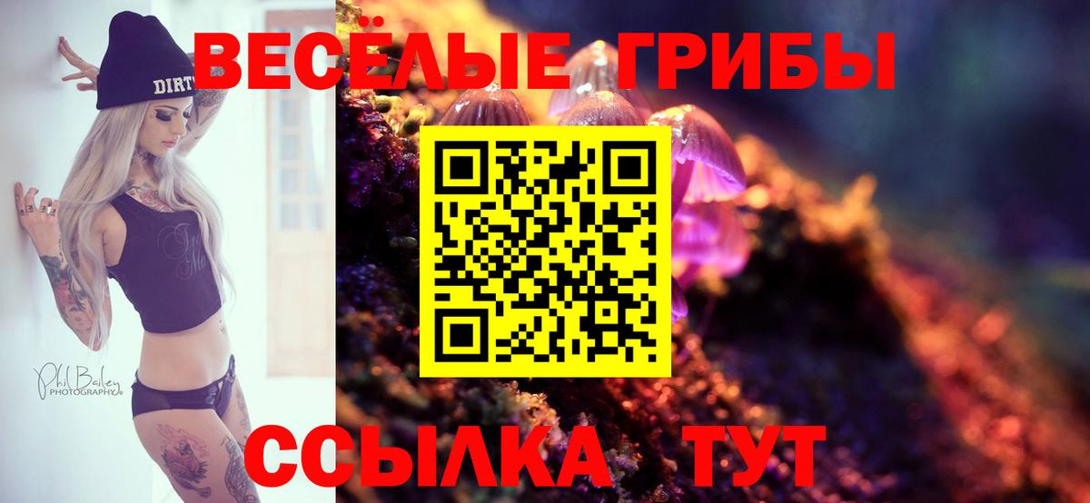 Псилоцибиновые грибы прущие грибы Минусинск